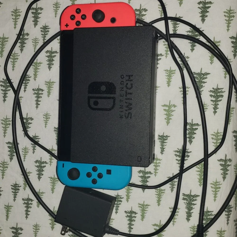 Nintendo Switch (Lightly Used)
